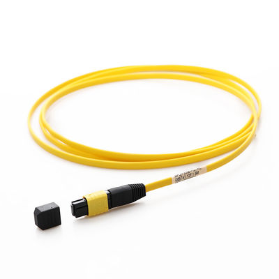 Singlemode G657a1 LWL - Kabel MPO MTP 12F 1.5M For FTTX FTTX